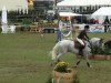 jumper Midair (Hanoverian, 1996, from Lavauzelle AA)