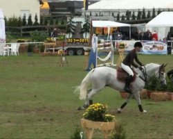 jumper Midair (Hanoverian, 1996, from Lavauzelle AA)