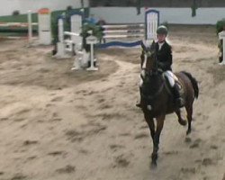 jumper Looping 61 (Hanoverian, 2002, from Laptop)