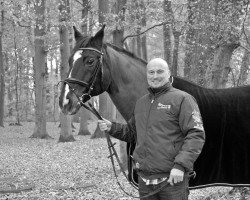 dressage horse Rolling Star (Hanoverian, 1992, from Rouletto)