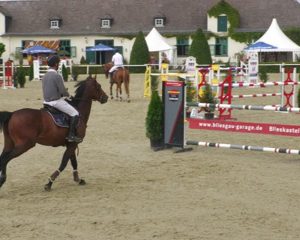 Reitturnier St.Wendel, Gestüt Welvert 2022