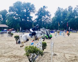 broodmare Lorena 145 (Oldenburg show jumper, 2010, from Quality 9)