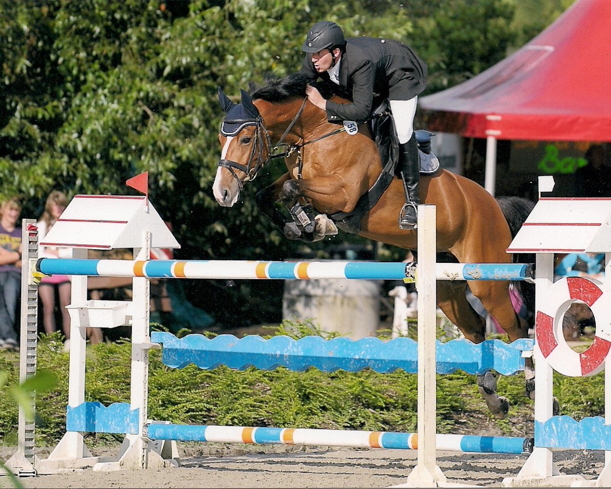 broodmare Bellina Luna (Oldenburg, 1997, from Cordial Medoc)