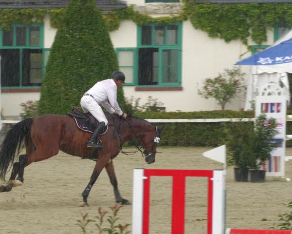 Reitturnier St.Wendel, Gestüt Welvert 2022