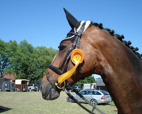 horse Nouble (German Warmblood, 1996, from Nitron)