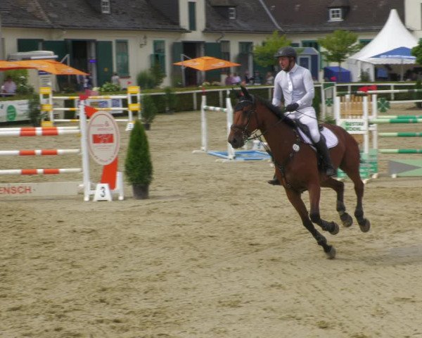 Reitturnier St.Wendel, Gestüt Welvert 2022