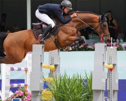 jumper Karlsson (Hanoverian, 2015, from Carrera VDL)