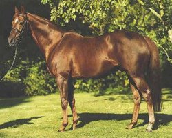 stallion Carroll House xx (Thoroughbred, 1985, from Lord Gayle xx)