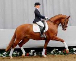 dressage horse Fabriano (Westphalian, 2006, from Fürst Grandios)