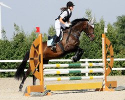 dressage horse Herz ist Trumpf W (Trakehner, 2006, from Tassilo W)