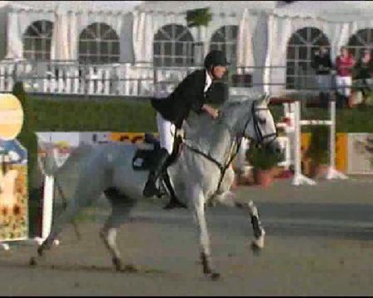 broodmare Garine (Hanoverian, 1992, from Glueckspilz)