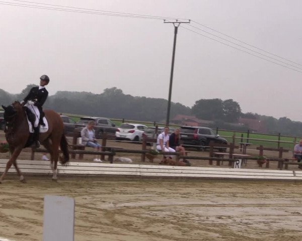 Reitturnier Ostbevern 2022