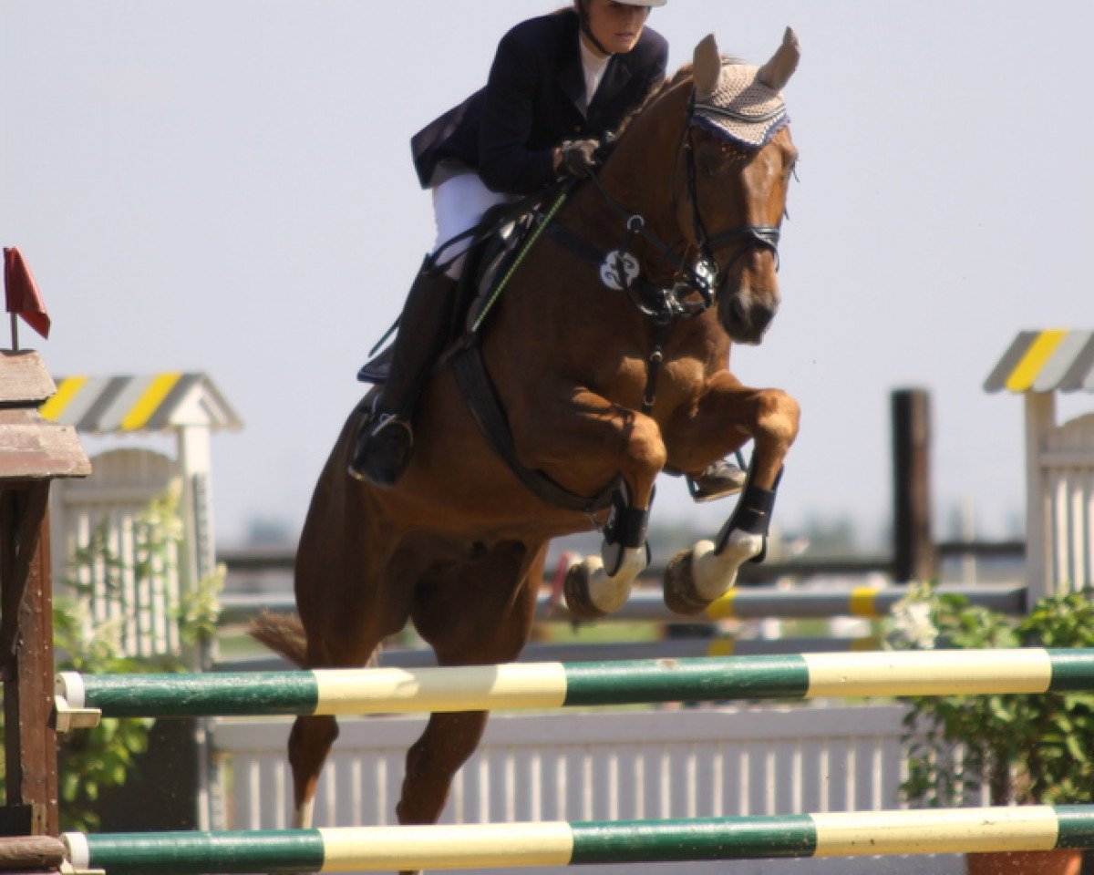 jumper Feuerstern 14 (Rhinelander, 2001, from Feuerblick)