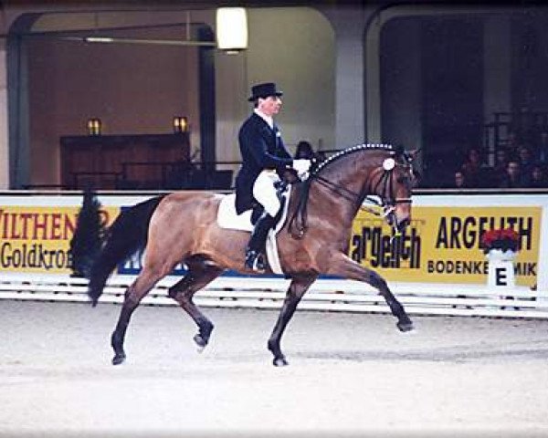 stallion Accent S (Oldenburg, 1994, from Abakarde)