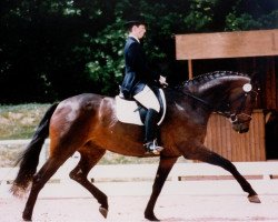 broodmare Rio's Romance (Bavarian, 1988, from Rio Negro)