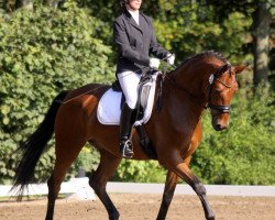 dressage horse Sky Dancer 16 (Oldenburg, 2006, from Sir Donnerhall I)