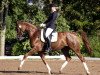 dressage horse Rieke 116 (Westphalian, 2006, from Bmc Roman Nature)