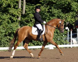 stallion FS Daddy Cool (Rhinelander, 2006, from FS Don't Worry)