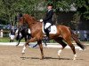 dressage horse Dr. Jackyl (Rhinelander, 2006, from Danone 4)