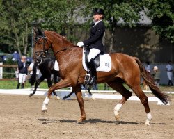 dressage horse Dr. Jackyl (Rhinelander, 2006, from Danone 4)