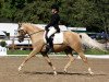 Dressurpferd Bolero (Deutsches Reitpony, 2006, von Boticelli 4)