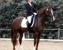 Deckhengst Der Kleine Donnerhall W (Deutsches Reitpony, 2005, von FS Don't Worry)