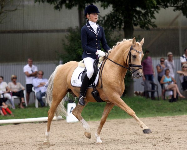 stallion Arts-Deilaran (German Riding Pony, 1999, from Arts-Dancer-Boy)