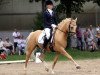 stallion Arts-Deilaran (German Riding Pony, 1999, from Arts-Dancer-Boy)