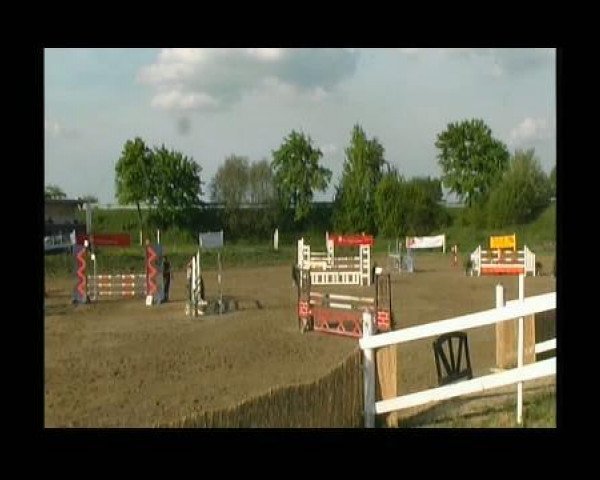Springpferd Lupina Coruna (Westfale, 2002, von Lupicor)