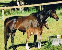 broodmare Inner Beauty xx (Thoroughbred, 1997, from Slavic xx)