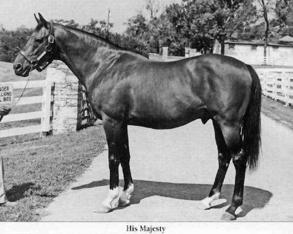 stallion His Majesty xx (Thoroughbred, 1968, from Ribot xx)