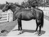 stallion His Majesty xx (Thoroughbred, 1968, from Ribot xx)