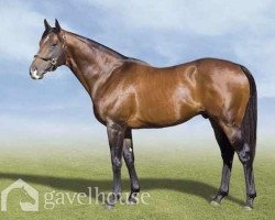 stallion Albert Hall xx (Thoroughbred, 2002, from Danehill xx)