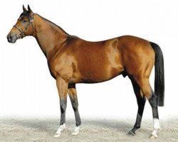 stallion Royal Dragon xx (Thoroughbred, 1998, from Danehill xx)