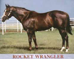 Deckhengst Rocket Wrangler (Quarter Horse, 1968, von Rocket Bar xx)