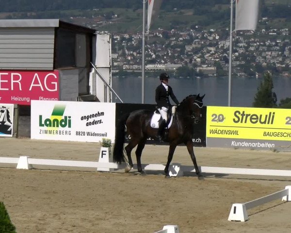 Reitturnier Wädenswil 2022