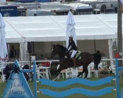 dressage horse Leonardo 613 (Westfale, 1999, from Lamoureux I)