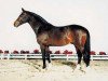 stallion Logarithmus (Holsteiner, 1994, from Linaro)