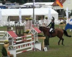 jumper Castar de Roulard (Belgian Warmblood, 2002, from Exploit de Roulard)