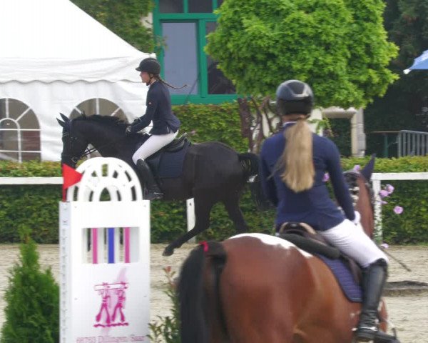 Reitturnier St.Wendel, Gestüt Welvert 2022