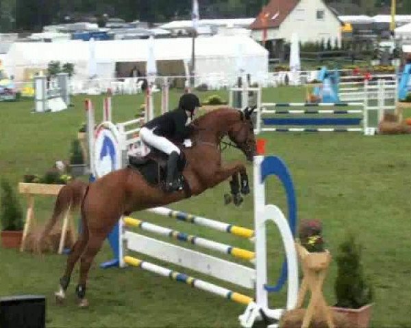 jumper Ramazotti 141 (German Sport Horse, 2003, from Regent)