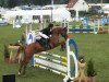 jumper Ramazotti 141 (German Sport Horse, 2003, from Regent)