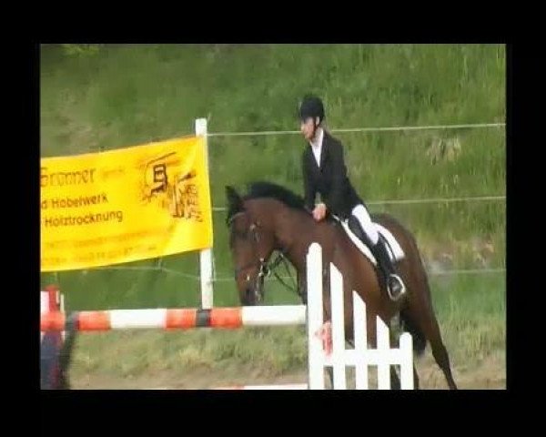 horse Red Avalon (Slovakian Warmblood, 2004, from Furioso XXI-23 Wigo)