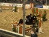 jumper Fähnrich 6 (Hanoverian, 2004)