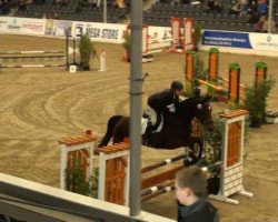 jumper Fähnrich 6 (Hanoverian, 2004)