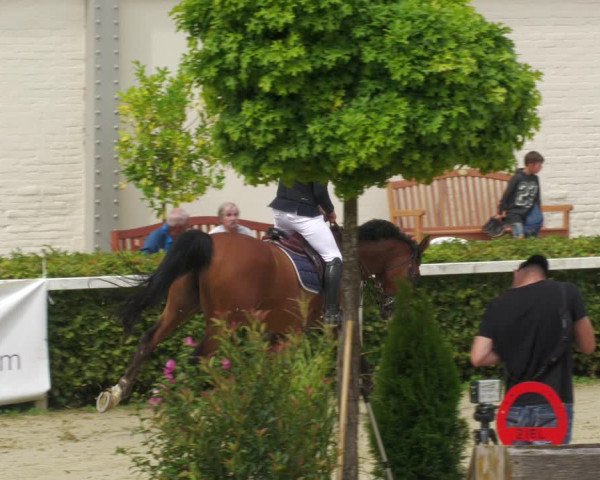 Reitturnier St.Wendel, Gestüt Welvert 2022