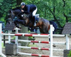 jumper Stuard 2 (German Sport Horse, 2003, from Semper Odem)