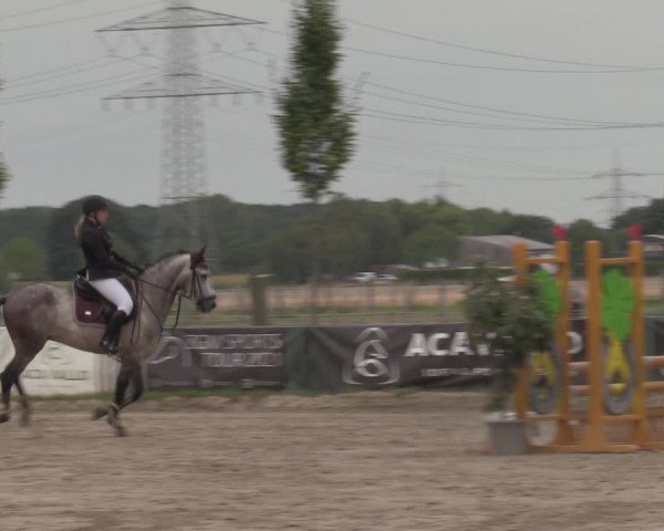 Reitturnier Dortmund-Asseln 2022
