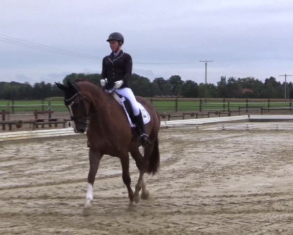 Reitturnier Ostbevern 2022