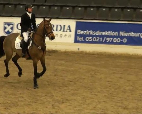 horse Lorina M (Oldenburg, 2002, from Lancado)